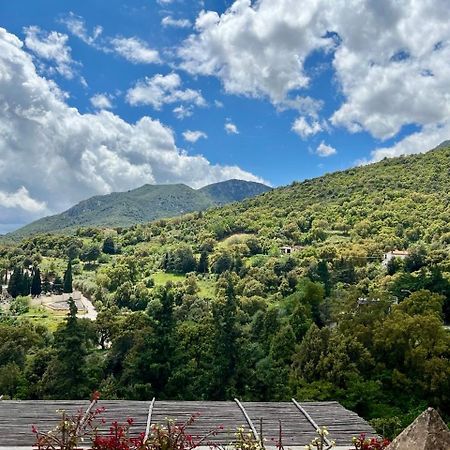 B&B Su Biancu - Sardinian Experience Urzulei Luaran gambar