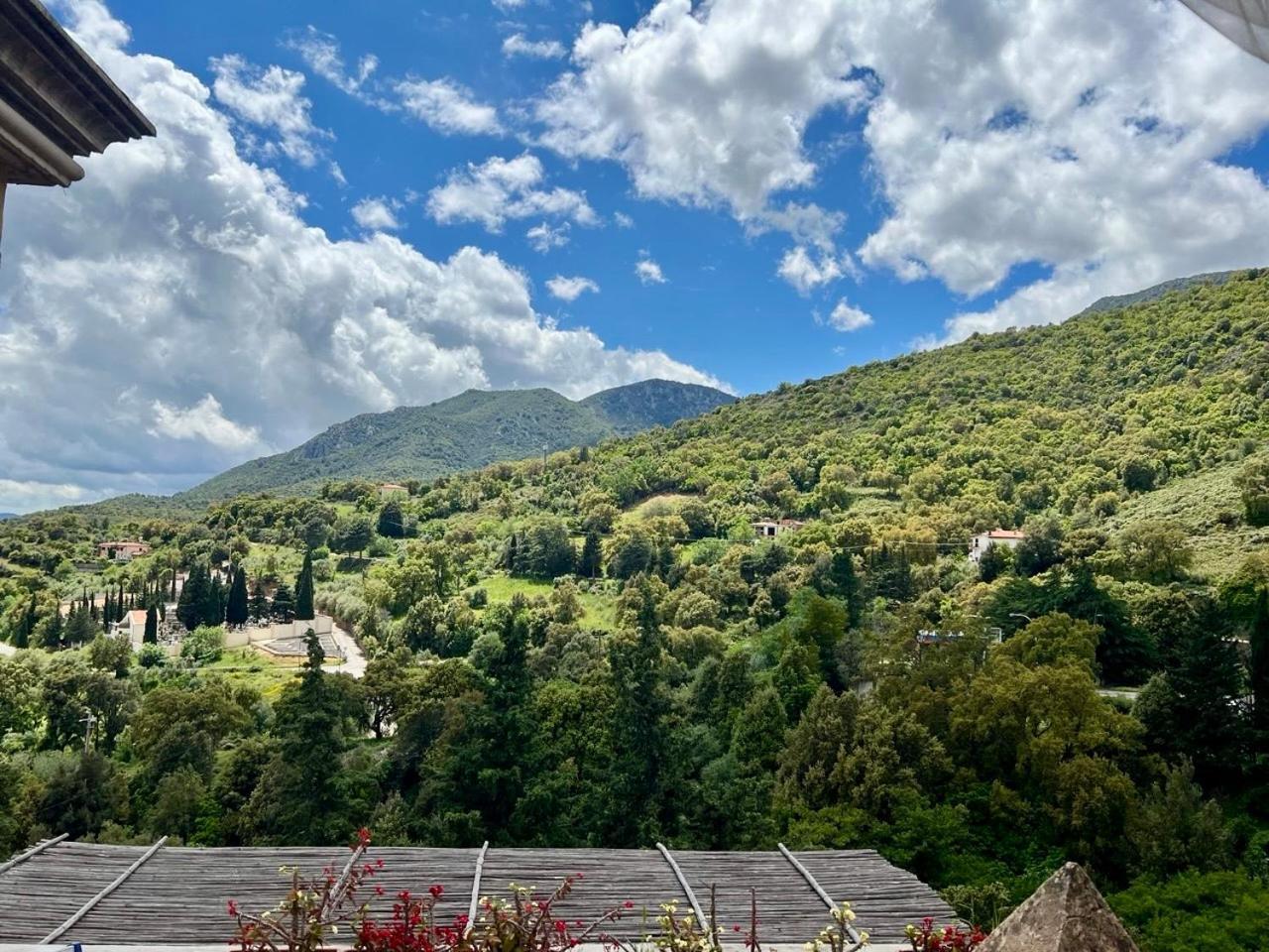 B&B Su Biancu - Sardinian Experience Urzulei Luaran gambar